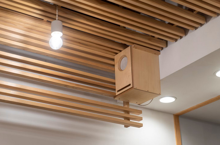 Statement Lighting Fixtures